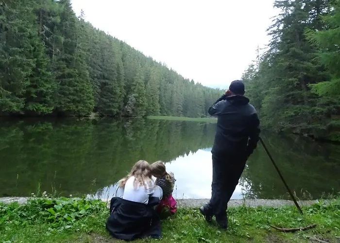 Mountain View * Fliess